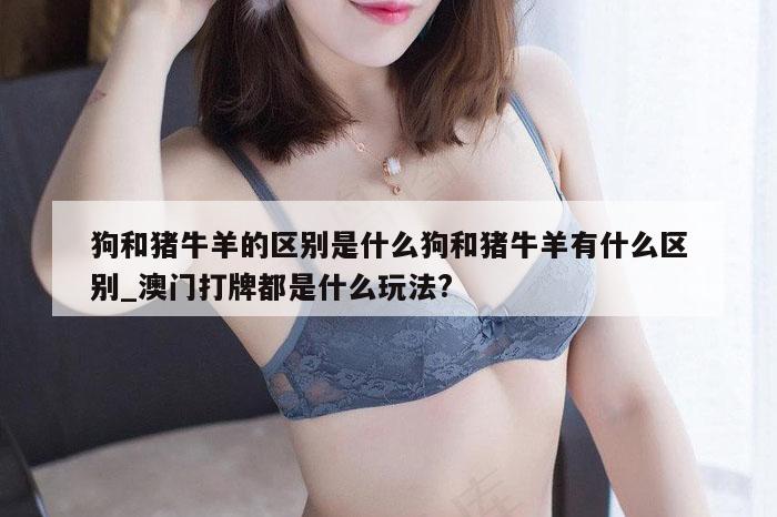 狗和猪牛羊的区别是什么狗和猪牛羊有什么区别_澳门打牌都是什么玩法?